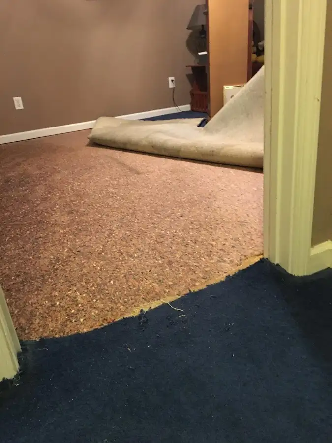Carpet pad removal revealing water damage during Drying & Dehumidification in Naranja