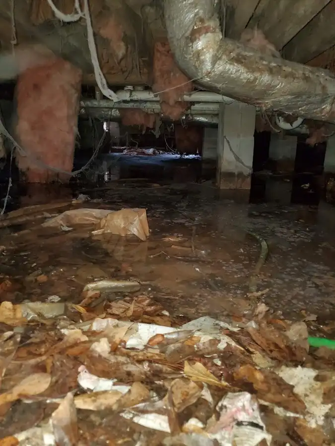 Crawl space flood assessment for Leak Detection & Repair in Naranja